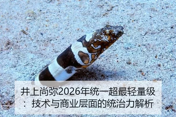 井上尚弥2026年统一超最轻量级：技术与商业层面的统治力解析